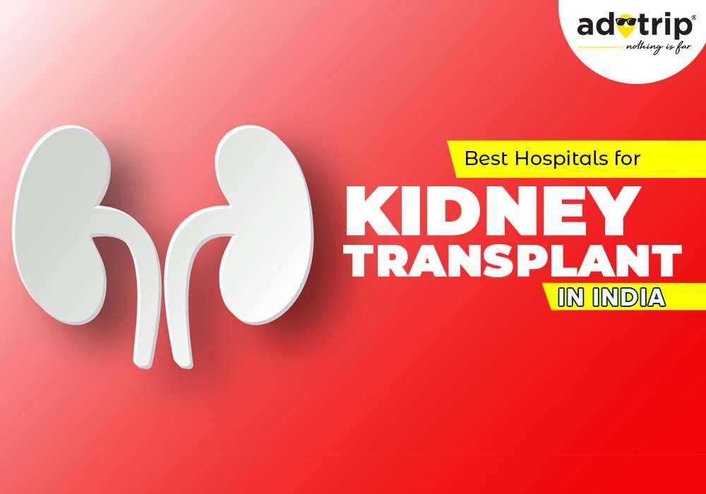 best hospital for kidney transplant in india